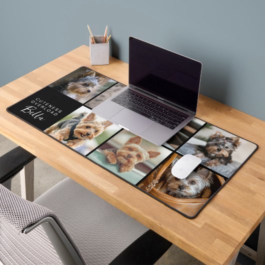 Cuteness Overboard Script Pet Photo