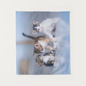 Cutest Baby Animals | 3 Tabby Kittens Wandkleed (Voorkant)