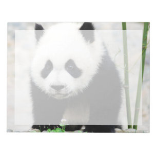 Cutest Baby Animals   Baby Panda Bear Notitieblok