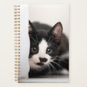 Cutest Baby Animals | Black & White Kitten (Devant)