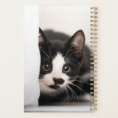 Cutest Baby Animals | Black & White Kitten (Dos)