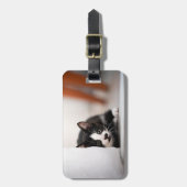 Cutest Baby Animals | Black & White Kitten Bagagelabel (Voorkant verticaal)