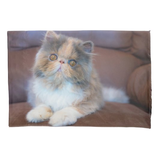 Cutest Baby Animals | Calico Persian Kitten Kussensloop (Voorkant)