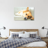 Cutest Baby Animals | Corgi Puppy on Couch Canvas Afdruk (Insitu (Slaapkamer))