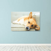 Cutest Baby Animals | Corgi Puppy on Couch Canvas Afdruk (Insitu (Houten vloer))