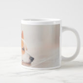 Cutest Baby Animals | Corgi Sleeping Extra Grote Beker (Rechts)