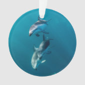 Cutest Baby Animals | Dolphin Family Ornament (voorkant)