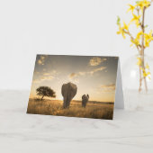 Cutest Baby Animals | Elephant Calf & Mother Kaart (Gele Bloem)