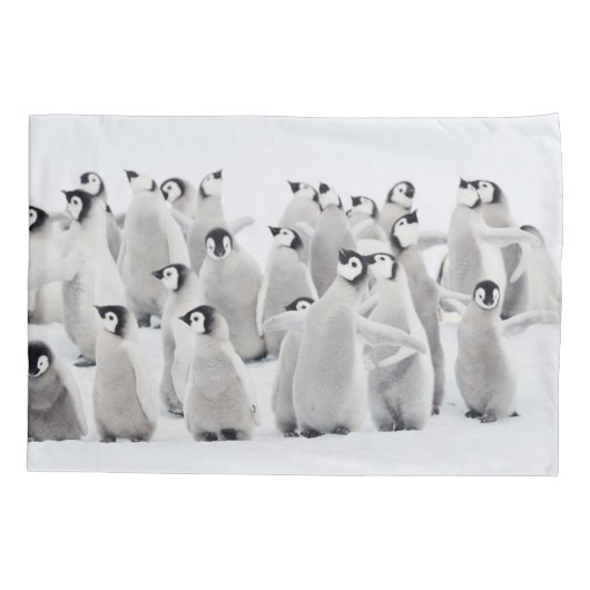 Cutest Baby Animals | Emperor Penguin Chicks Kussensloop (Achterkant)