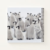 Cutest Baby Animals | Emperor Penguin Chicks Notitieboek (Achterkant)