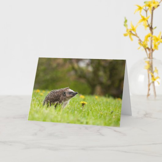Cutest Baby Animals | European Hedgehog Kaart (Gele Bloem)