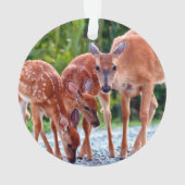 Cutest Baby Animals | Fawn with Babies (dos)