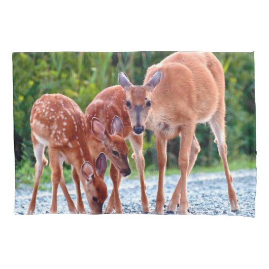 Cutest Baby Animals | Fawn with Babies Kussensloop (Voorkant)