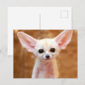 Cutest Baby Animals | Fennec Fox Briefkaart (Voorkant / Achterkant)
