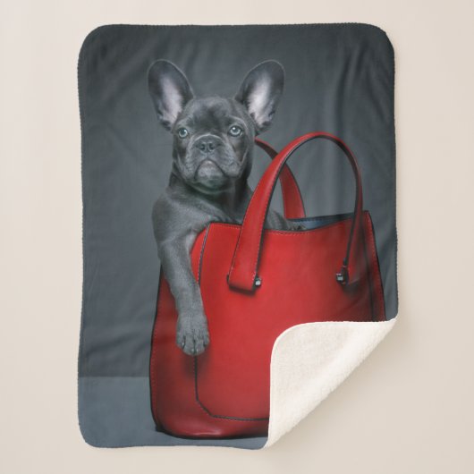 Cutest Baby Animals | French Bulldog in Handbag Sherpa Deken (Voorkant)