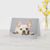 Cutest Baby Animals | French Bulldog Lying Down Kaart (Gele Bloem)