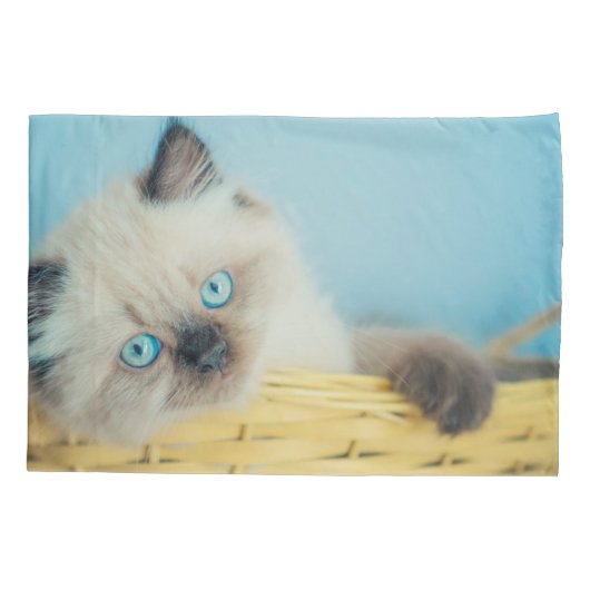 Cutest Baby Animals | Himalayan Seal Point Cat Kussensloop (Achterkant)