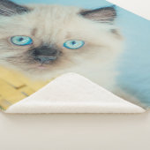 Cutest Baby Animals | Himalayan Seal Point Cat Sherpa Deken (3/4)