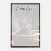 Cutest Baby Animals | Kitten in Basket Post-it® Notes (Voorkant)
