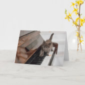 Cutest Baby Animals | Kitten on Piano Kaart (Gele Bloem)