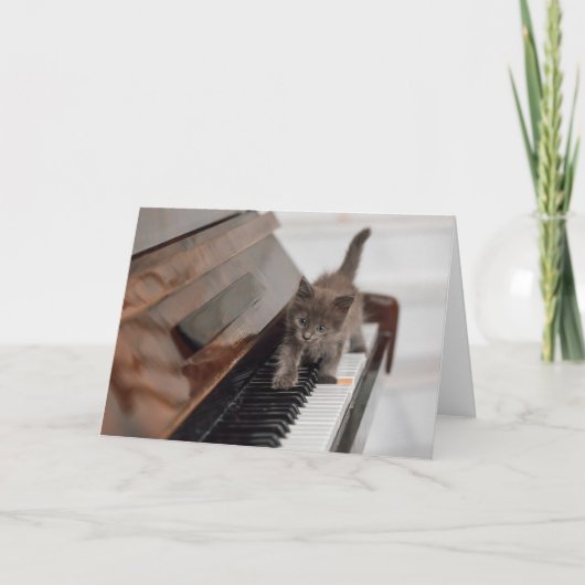 Cutest Baby Animals | Kitten on Piano Kaart (Voorkant)