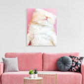 Cutest Baby Animals | Lovely Kitten Sleeping Canvas Afdruk (Insitu (Woonkamer))