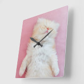 Cutest Baby Animals | Lovely Kitten Sleeping Vierkante Klok (Hoek)