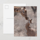 Cutest Baby Animals | Mother and Baby Giraffe Briefkaart (Voorkant / Achterkant)