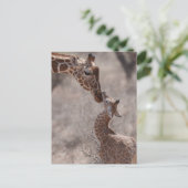 Cutest Baby Animals | Mother and Baby Giraffe Briefkaart (Staand voorkant)