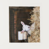 Cutest Baby Animals | Newborn Lamb Wandkleed (Voorkant)
