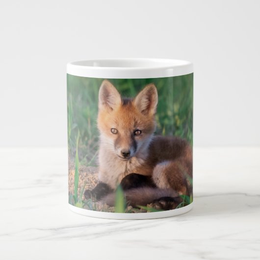 Cutest Baby Animals | Red Fox Kit Relaxing Extra Grote Beker (Voorkant)