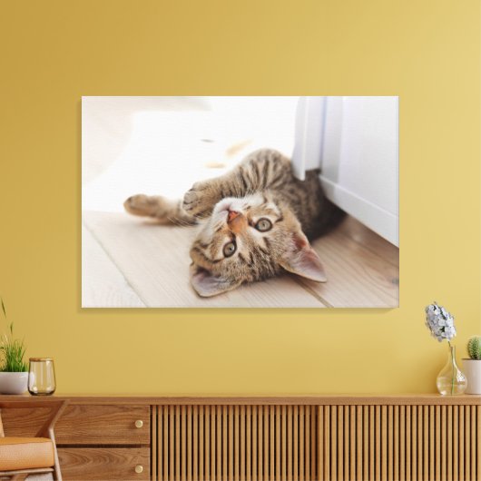 Cutest Baby Animals | Shorthair Tabby Kitten Canvas Afdruk (Insitu (Woonkamer))