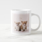 Cutest Baby Animals | Two Baby Corgis Sitting Extra Grote Beker (Rechts)