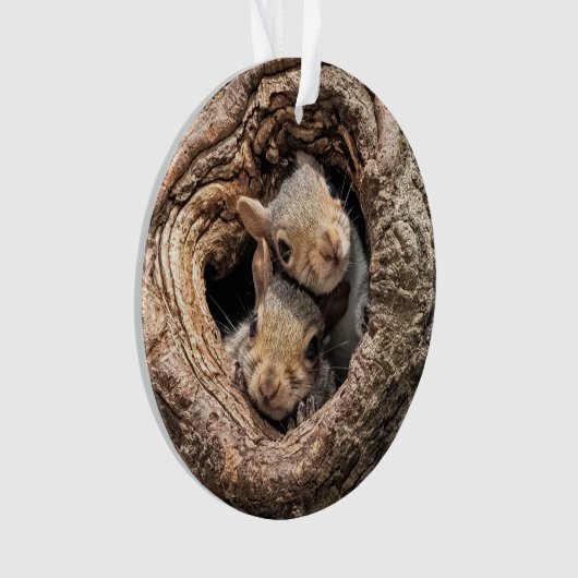 Cutest Baby Animals | Two Young Squirrels (devant)