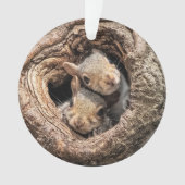 Cutest Baby Animals | Two Young Squirrels Ornament (voorkant)