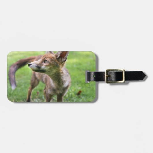 Cutest Baby Animals | Urban Fox Bagagelabel (Voorkant horizontaal)