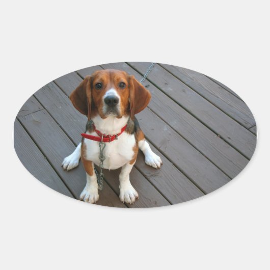 Cutest Beagle Dog Ever Ovale Sticker (Voorkant)