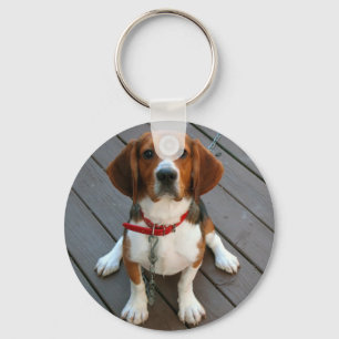 Cutest Beagle Dog Ever Sleutelhanger