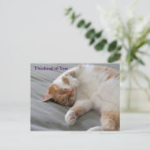 Cutest Cat Thinking of you Briefkaart (Staand voorkant)