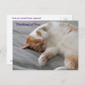 Cutest Chat Penser de vous Carte Postale (Devant / Derrière)