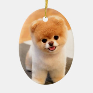 Cutest Dog in de wereld Keramisch Ornament