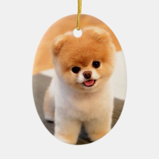 Cutest Dog in de wereld Keramisch Ornament (Voorkant)