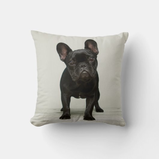 Cutest French Bulldog Puppy Kussen (Voorkant)