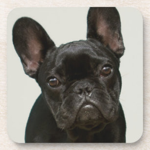 Cutest French Bulldog Puppy Onderzetter