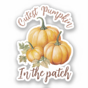 Cutest Pumpkin in de pleister Sticker