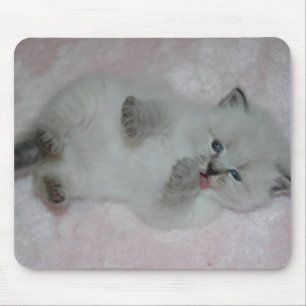 Cutest SibKitten Mousepad - Gepersonaliseerd Muismat