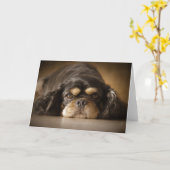 Cutie Cav! Kaart (Gele Bloem)