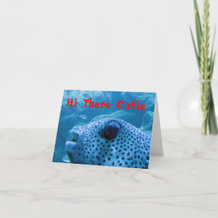 Cutie Fish Note Kaart