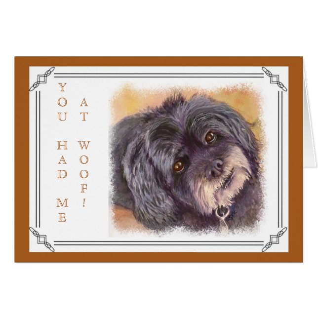 CUTIE NOIR COCK-A-POO MIX (Devant horizontal)