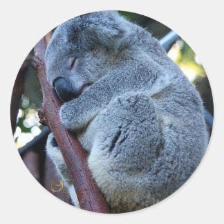 Cutie Pie Koala Ronde Sticker